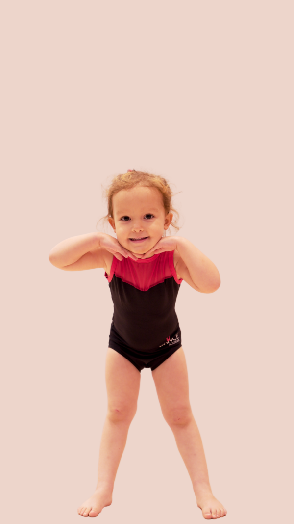 Black Leotard with Red Mesh Top