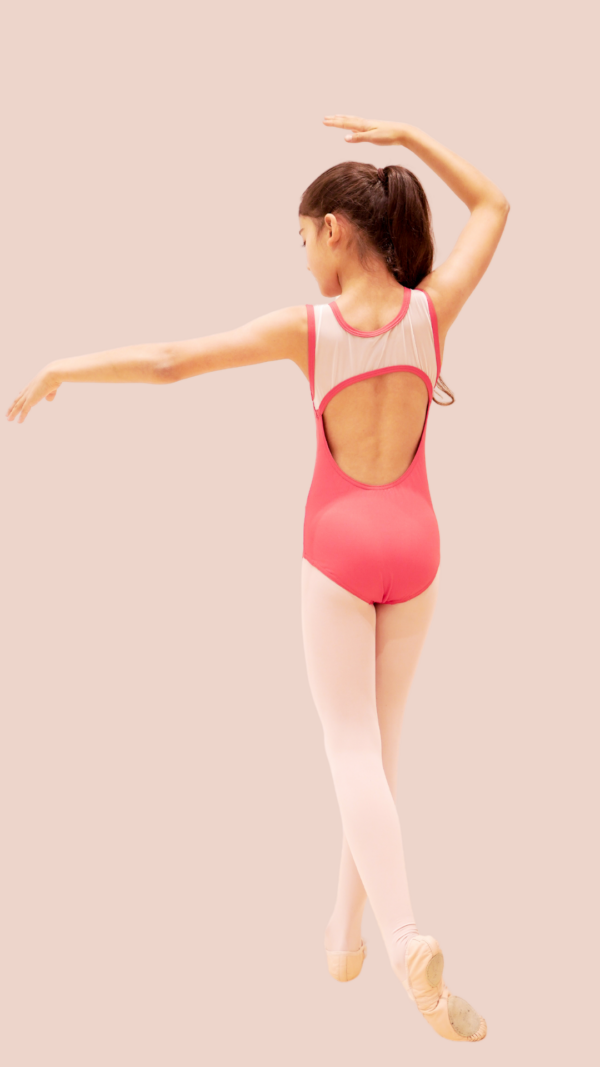 Red Leotard with Mesh - Image 2