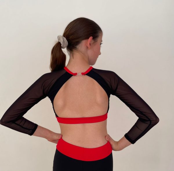 NEW Long Sleeve Crop Top - Image 2
